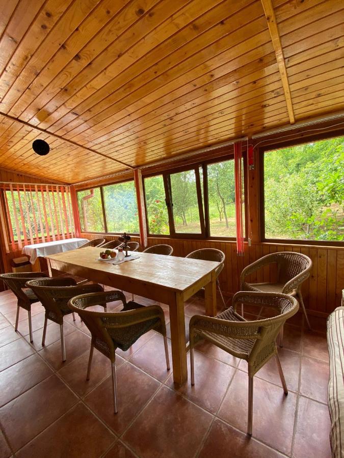 Ab'S Rustic Cabin Dejani Buitenkant foto